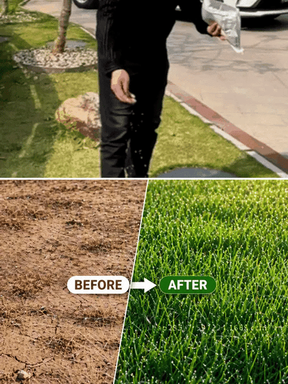 [99% Germination Rate in 7 Days] Multi-Variety Grass Seeds
