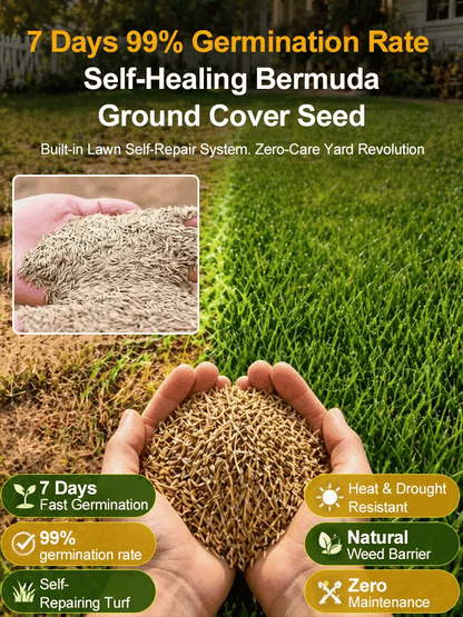 [99% Germination Rate in 7 Days] Multi-Variety Grass Seeds